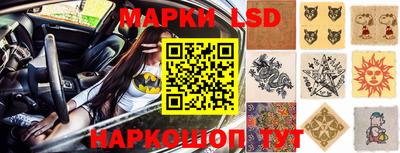 шишки Новокубанск