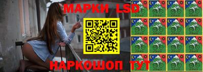 шишки Новокубанск