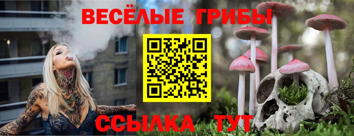 Галлюциногенные грибы Magic Shrooms  Вход с VPN  Грязи 